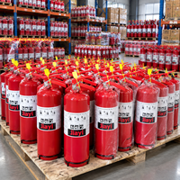 Extincteur à poudre sèche de type mexicain de haute qualité, 6 kg, construction en acier, équipement de sécurité incendie, vente en gros