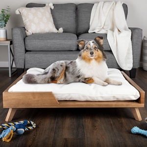 Erhöhtes Hunde bett 36x29,5 Zoll-Moderner Holzrahmen aus der Mitte des Jahrhunderts mit gepolstertem Kissen für mittelgroße bis große Haustiere - Product Image 5