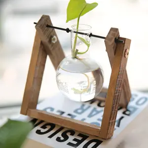 2 ampul vazolar ile bitki yayılım istasyonu bitkiler için Retro ahşap masaüstü standı cam ekici teraryum