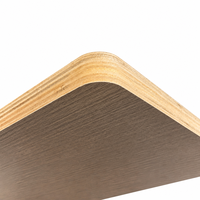 Yapışkan Pirinç Tutkalı ile Yapıştırılmış Lamine Kontrplak 18mm 4x8 Levha Sıfır Formaldehit Çevre Dostu Termit Geçirmez Mobilya İçin