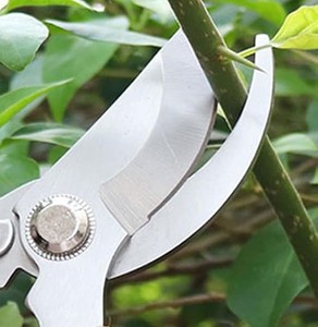 2 PIEZAS DE PODERA DE 2 PIEZAS - Product Image 4