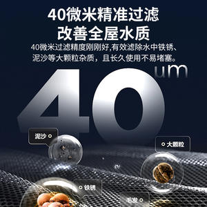 Purificateur d'eau domestique à rétrolavage manuel Wanqian, entièrement en cuivre, pré-filtre - Product Image 5