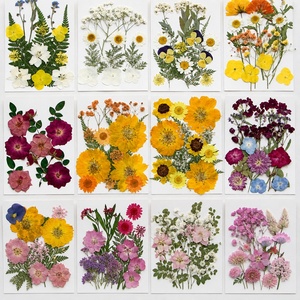 Kit de fleurs séchées, plantes pressées naturelles pour la fabrication de bijoux, le nail art, la création de cartes, les marque-pages, matériel artisanal - Product Image 1