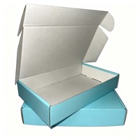 Boîte d'expédition en carton ondulé blanc, imprimée en offset, fabriquée avec des matériaux recyclés biodégradables et écologiques, pour l'envoi de colis par avion