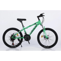 Livraison directe rapide amérique du sud VTT japon importateur de vélos d'occasion vtt électrique 3000w pour adulte