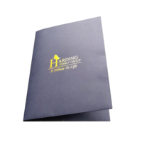 Logotipo personalizado A4 Presentación Documentos Carpetas de papel Diseño de sello dorado 2 bolsillos para Escuela de Negocios-Archivo personalizado