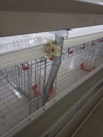 Nouvelle cage d'élevage de poulets entièrement automatique de type H, en treillis métallique galvanisé à chaud, longue durée de vie, avec tapis de refroidissement, facile à utiliser, Ankong Poultry