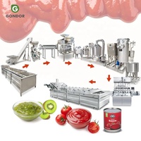 Complete semi-automatische productielijn voor tomatenjam, -puree, -ketchup en -pasta met afvullijn