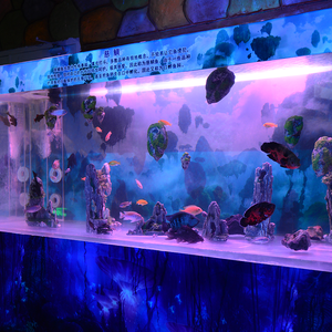 Fabriek Directe Verkoop Outdoor Grote Acryl <span class=keywords><strong>Aquarium</strong></span>, 2020 Nieuwe Producten Oceaan Wereld Acryl <span class=keywords><strong>Aquarium</strong></span> <span class=keywords><strong>Aquarium</strong></span> @ - Product Image 3