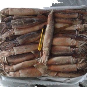 Calamar Illex Congelado de Origen Argentino de Nueva <span class=keywords><strong>Temporada</strong></span>, Congelado Entero, Capturado con Red de Pesca - Product Image 3