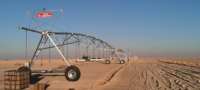 Système d'irrigation agricole numérique à pivot central 2026 le plus vendu, avec moteur, boîte de vitesses et construction métallique, garantie 5 ans pour grandes surfaces