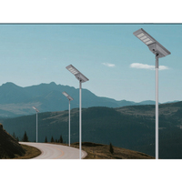 Fabricante Chino de Farolas Solares Todo en Uno de 30W 40W IP65 AC para Uso en Carreteras