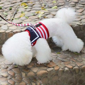 Harnais pour chien rayé bleu marine pour petits chiens, caniche, teddy, pomeranian, en polyester, avec laisse incluse - Product Image 3