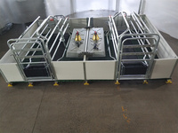 Cage pour animaux d'élevage porcine, équipement de cage à porcs, stalles d'élevage, caisses de mise bas pour truies en acier galvanisé à chaud
