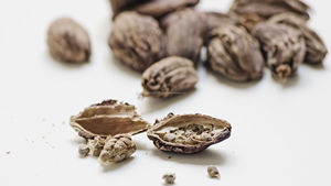 Aceite de semilla de cardamomo puro 100% (Elettaria cardamomum) Aceite esencial Precio al por mayor a granel para uso de sabor y fragancia - Product Image 2