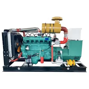 3-Phasen wassergekühlter 50Hz 1500Rpm CE ISO von Ricardo Weichai 40Kw 50Kva leiser kleiner Biogasanlagegenerator für Zuhause