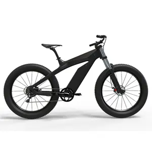 Domanca 탄소 섬유 뚱뚱한 타이어 eBike 750w 떨어져 전기 자전거, 산 전기 자전거 Ebike 눈 Ebike