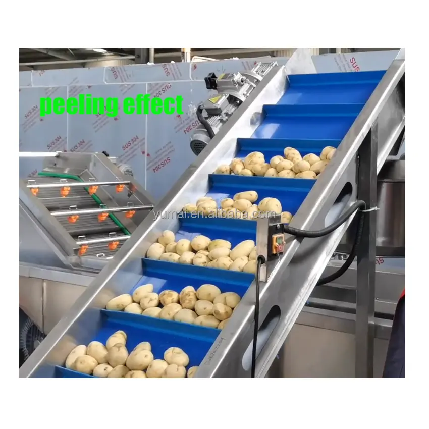 Petite échelle 100kgh ligne de production de frites surgelées entièrement automatique chips de pommes de terre faisant la machine