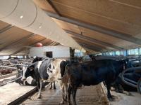 Conduit d'air en tissu flexible pour l'élevage 10m pour la ventilation refroidissant les halls de gymnases d'hôpitaux disponibles Rectangle carré
