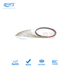 APC đa sợi quang Bím Tóc tráng LC/SC/ST/<span class=keywords><strong>FC</strong></span> 12 lõi <span class=keywords><strong>Pigtail</strong></span> với 50/125 & 62.5/125 <span class=keywords><strong>SM</strong></span> <span class=keywords><strong>Pigtail</strong></span> lõi - Product Image 3