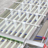 Kersen sorteermachine met roestvrijstalen rollers voor passievrucht, pruim, jujube, sinaasappel en kleine bessen.