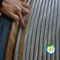 Cable de tierra de fibra óptica modular OPGW de tubo suelto trenzado Wolf para proyectos de alta tensión