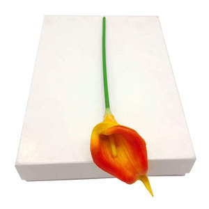 Cuaderno de dibujo Libros para colorear Papel de arte para estudiantes Suministros de Arte de pintura para adultos - Product Image 1