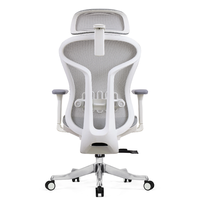 Offre Spéciale chaise ergonomique réglable de luxe d'ascenseur de jeu d'ordinateur chaise de bureau ergonomique de maille de pivot de conception de roulement