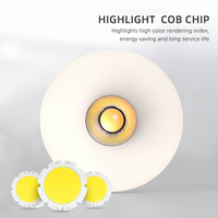 Style moderne Aluminium LED Cob Down Light 8W 220-240V Intégré Led Lumières Spot Lights