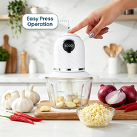 Harga Pabrik Mini Food Chopper Penggiling Daging Elektrik Grosir Peralatan Dapur Portable Pemotong Sayur dengan Plastik Bebas BPA