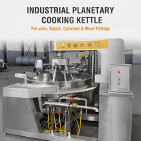 Marmite de cuisson industrielle à vapeur ZHONGNUP pour sauce Satay, mayonnaise, khoya/mava, machine mélangeuse à induction électrique 3.7KW, cuiseur Zacusca