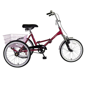 จักรยานสามล้อ3ล้อตามสั่งจักรยานบรรทุกของผู้หญิงยางรถขนส่งสินค้า - Product Image 1