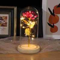 Rose sous cloche en verre avec lumières LED, cadeau pour maman, femme, petite amie, fleurs et plantes immortelles