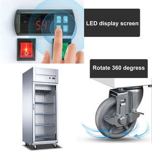 Réfrigérateur vertical de cuisine, réfrigérateur commercial, réfrigérateurs à ouverture supérieure, portes en <span class=keywords><strong>verre</strong></span> à charnières, éclairage intérieur LED - Product Image 6