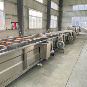 Machine à laver à bulles multifonctionnelle commerciale pour laver la viande, le chou, les légumes à feuilles, le melon - Product Image 4