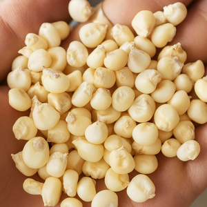 Granos de maíz ceroso seco de alta Calidad con certificación ISO de OMG natural para el procesamiento de alimentos saludables, palomitas de maíz, aperitivos, cereales, Mercado Mayorista - Product Image 1