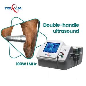 Therapeutische Echografie Machine Met Ultrawave Technologie Ce Gecertificeerd Pijnstilling Apparaat Voor Paarden En Honden Fysiotherapie - Product Image 3