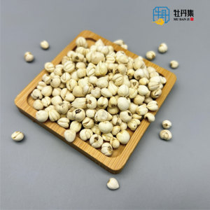 Qualidade Premium Sichuan Fritilaria Secas Fritilaria Cirrhosa Natural Ervas Chinesas Lâmpadas Saúde Venda Quente de Alta Qualidade - Product Image 2