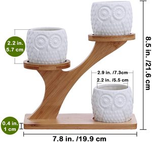 Owl Succulent Pots with 3 Tier Bamboo Saucers Stand Holder - White Modern Decorative Ceramic Flower <strong>Planter</strong> Plant Pot with <strong>Drain</strong> - Product Image 5