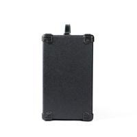 Amplificateur de guitare Deviser pour basse