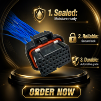 Connecteur automobile étanche TE SuperSeal 3.0mm, assemblage de câbles, fiche ECU 26 broches pour câblage de véhicule