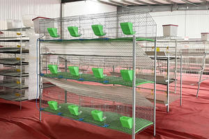Équipement d'élevage avicole Cage à lapins en métal industrielle Facile à nettoyer Commerciale Durable Antirouille Cage à lapins d'élevage pour animaux de compagnie - Product Image 6