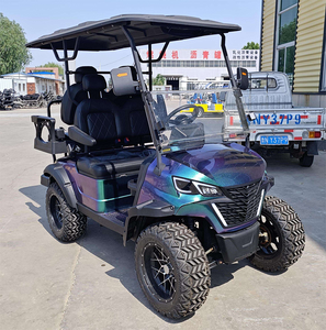 Voiturette <span class=keywords><strong>de</strong></span> golf personnalisée avec sièges sur mesure - Vente directe fabricant chinois, design sur mesure pour propriétés privées - Product Image 2