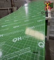 Panneau de contreplaqué marin vert 4x8ft 12mm 15mm 18mm en plastique PP/PVC avec film vert, recyclé, pour usage de construction et fabrication