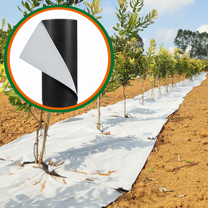 Tessuto Anti-Erbacce ENON 1m X 50m, Resistente ai Raggi UV, Biodegradabile, in PP Non Tessuto, Taglio Personalizzato - Product Image 1