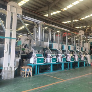 Prix d'usine 20 tonnes 30 tonnes Chakki Atta/<span class=keywords><strong>Semoule</strong></span>/Moulin à farine de blé Machine à moudre la farine de blé - Product Image 1