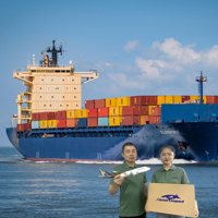 DDP 배송 DHL 해상 운송 화물 해상 운임 캐나다 중국에서 미국 프랑스 인도 해상 FBA DDP