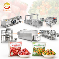 ORME Fruit Groente Sla Zoete Aardappel Sorteer Was Knip Droog en IQF Vriesproductielijn