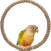 Balancelle en corde pour perroquet, perchoir d'escalade, jouet suspendu pour cage à oiseaux, idéal pour les calopsas