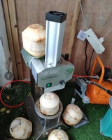 Automatische commerciële kokosnootschiller, jonge kokosnootschiller, groene kokosnootschilmachine